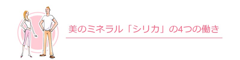 �V���J���@�t�B�[�W�[�E�H�[�^�[���T�C�g